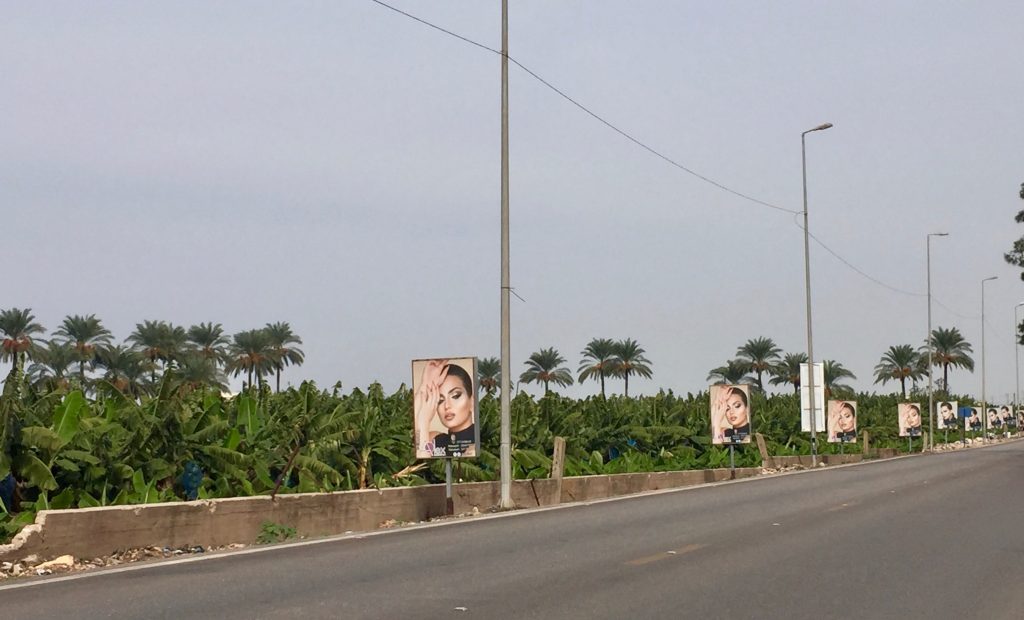Banana trees and beauty advertisements along the street